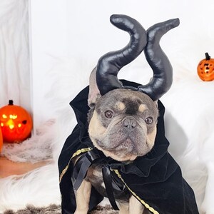 Halloween Kostüm/Halloween Kostüm/Teufel Stirnband/Halloween Kostüm/Halloween Geweih Stirnband/ Haustier Kostüm/Halloween Kostüm