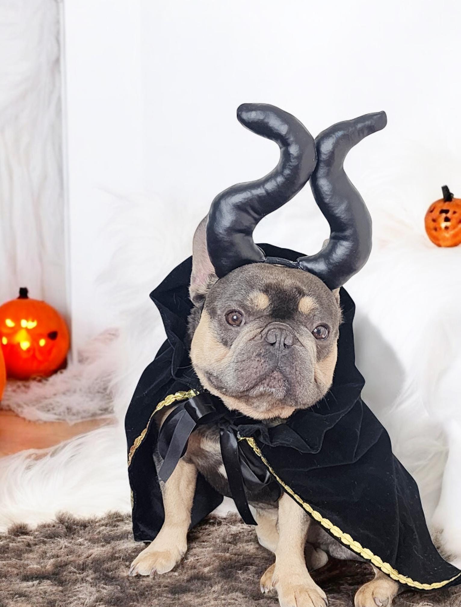 Devil Headband for Large Pet /halloween Costume/horns Headband