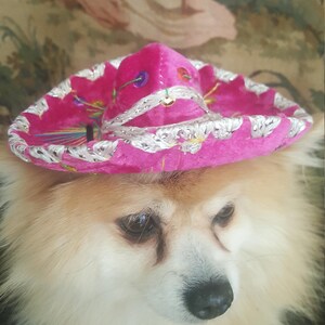 Cute sombrero hat for dog or cat image 4