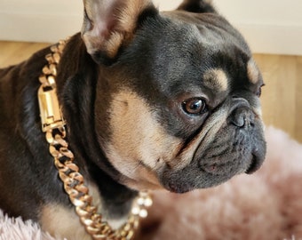 French Bulldog Gold Chain Collar Cuban Link /supper Cute Dog Neck