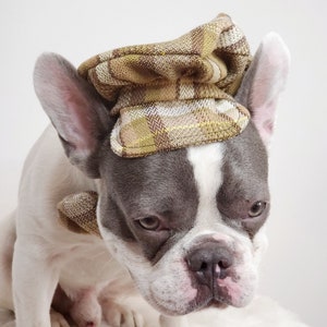 Dog Cap and Bow Tie Set, Pet Outfit image 3