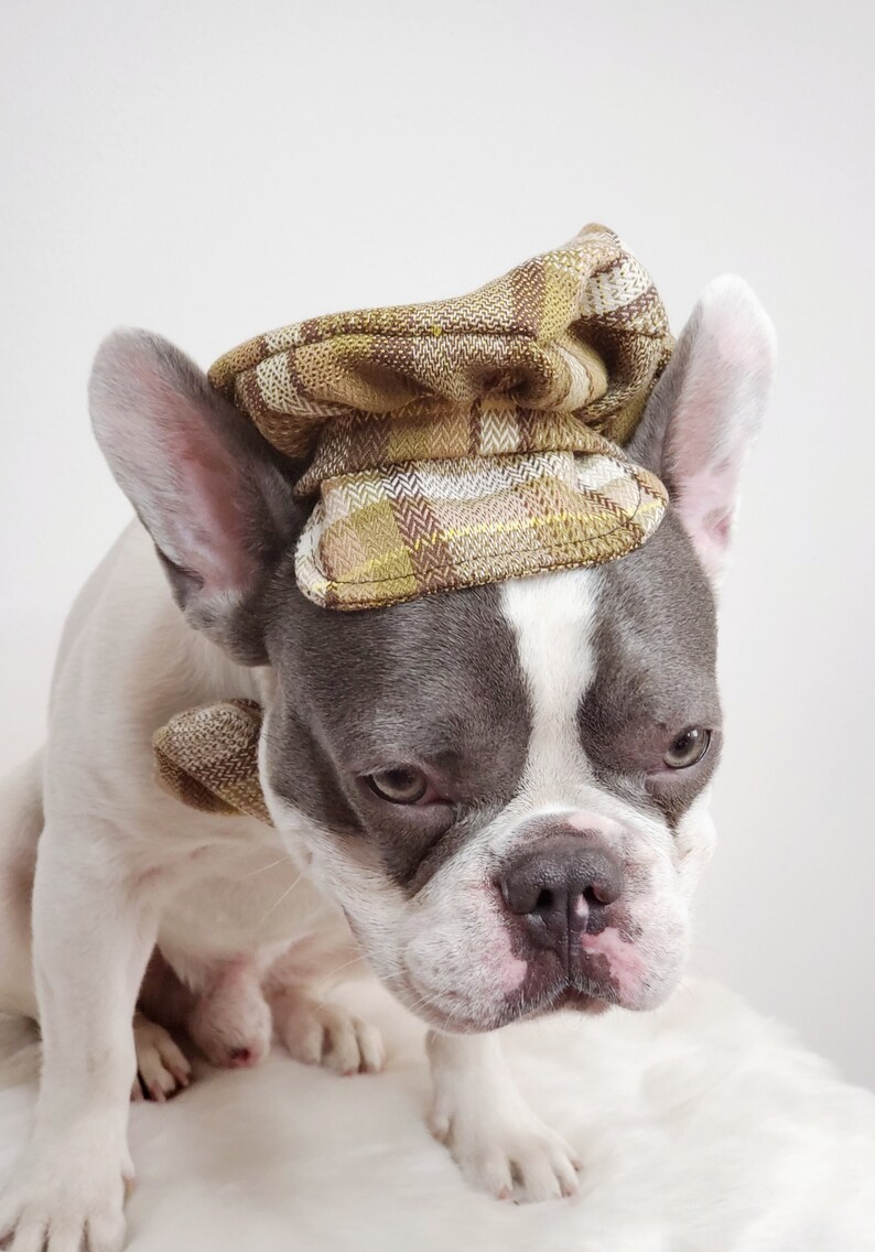 Dog Cap and Bow Tie Set, Pet Outfit image 3