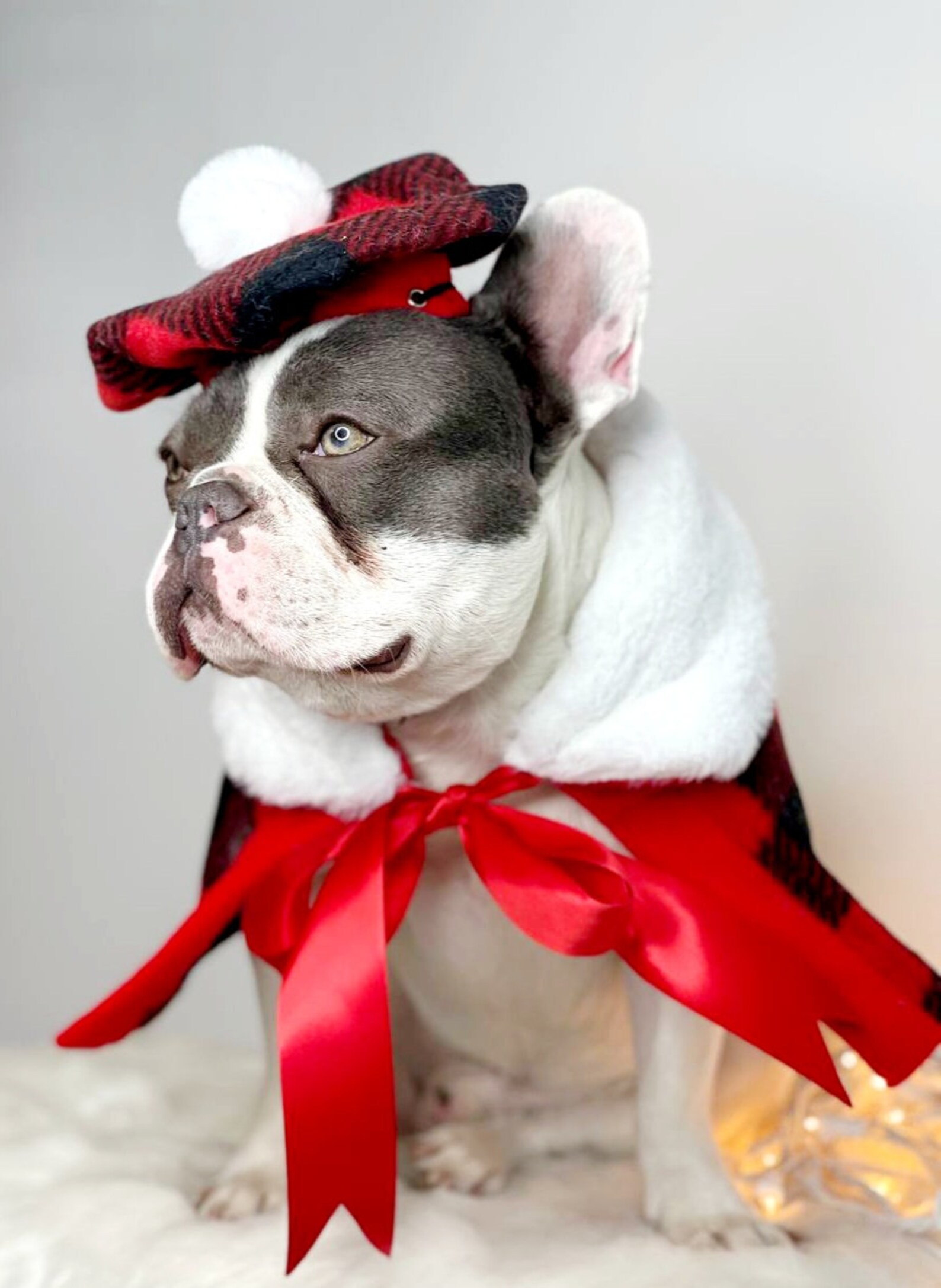 Set 2 Piece Beret and Cape Cover for Dog Cat or Small Animal / Costume ...