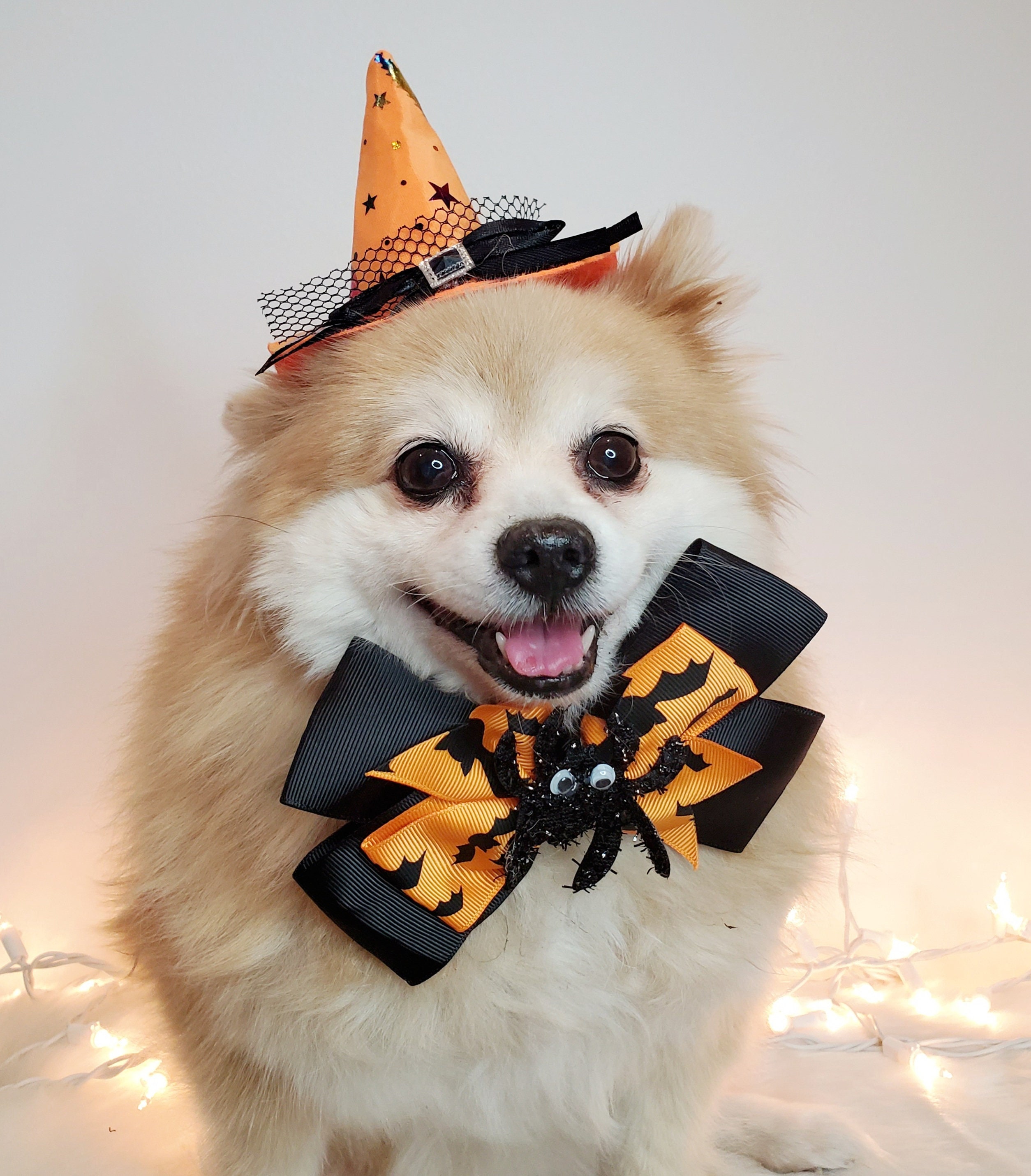 LESYPET Zauberer-Hut Für Katze & Hund – Halloween-Kostüm Mit Sternen, Glöckchen & Klettband
