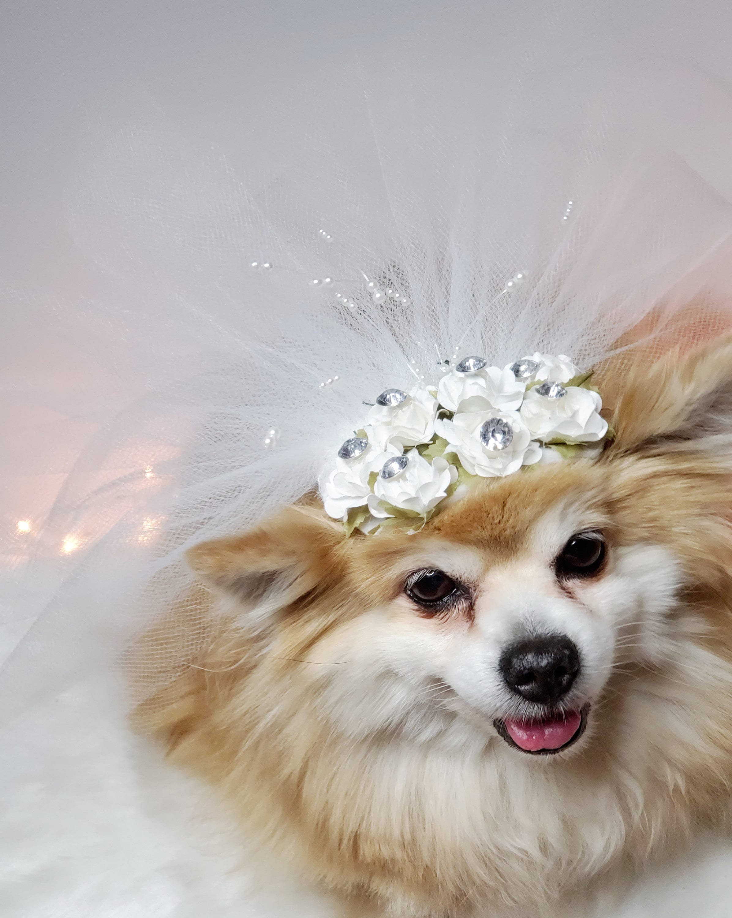 Vestido Perro Velo Para Mascotas Decoración De Boda, Accesorio