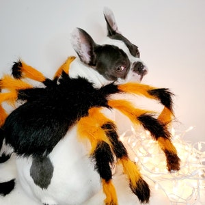 Spider costume for pets / Halloween costume/Dog costume/ image 4