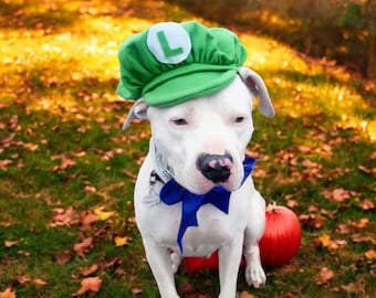 Mario Luigi Kapelusz Pies/Kot, Kostium Małego Zwierzęcia