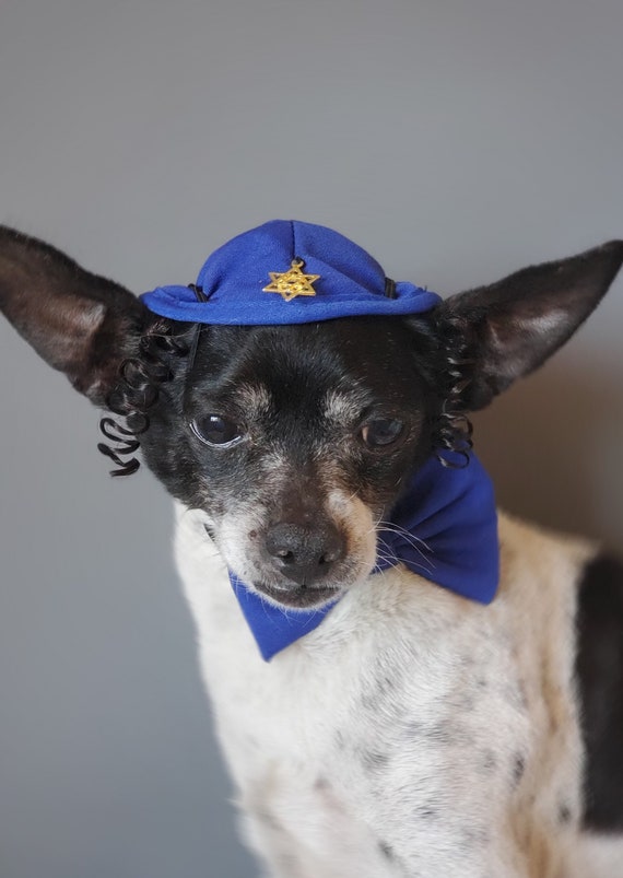 Hanukkah Dog Kippah Hat & Bow Set, Jewish Pet Costume - Etsy