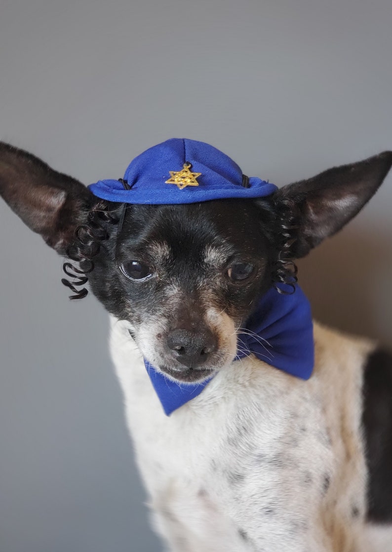 DOG KIPPAH Hanukkah hat and bow set for dog or cat/Hanukkah dog gift/Yarmulke for dogs/Yarmulke for cats//Kippah for dog image 2