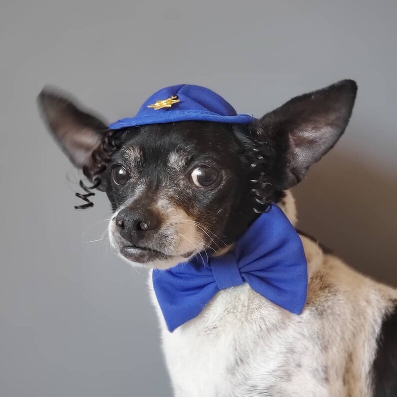 DOG KIPPAH Hanukkah hat and bow set for dog or cat/Hanukkah dog gift/Yarmulke for dogs/Yarmulke for cats//Kippah for dog image 5