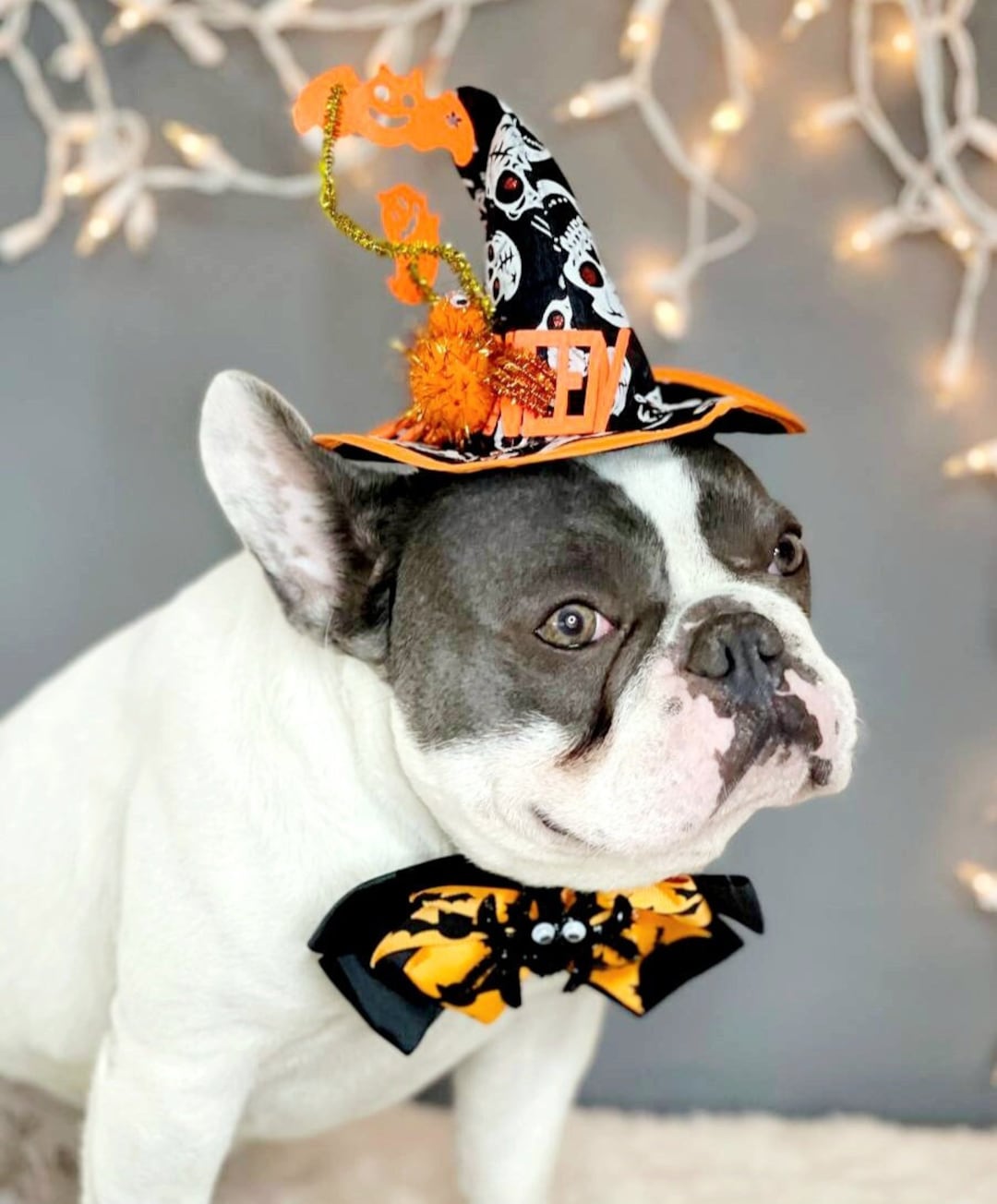 Dog Witch Hat With Bow Tie, Black Halloween Costume - Etsy