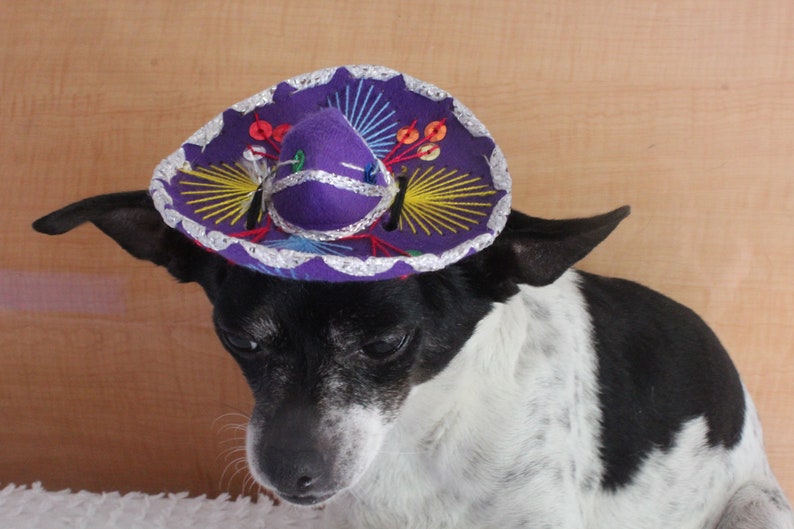 Cute sombrero hat for dog or cat