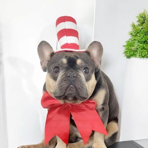 Cat in the hat /Set Listing/ /dog hat/Halloween  costume for dogs/Dog costume  / Cat costume /
