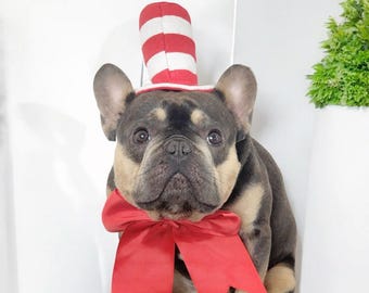 May include: A French bulldog wearing a red and white striped hat with a red bow tie. The dog is sitting on a black surface.