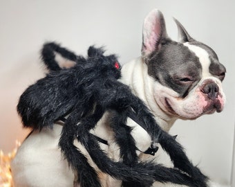 Spider-huisdierkostuum, verstelbaar halloween-hondenkostuum