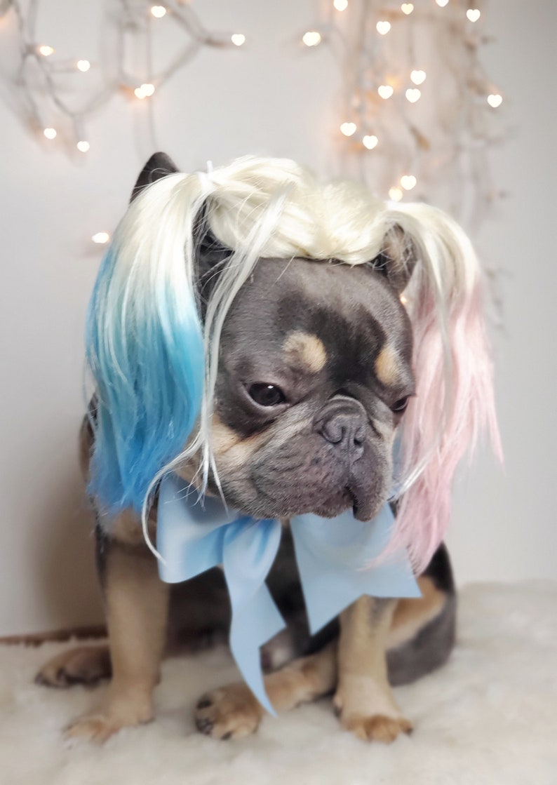 Harley quinn dog wig with Pony tails /Cute pet wig for dog or cat / Halloween pet wig / Costume dog wig /Dog costume / image 3