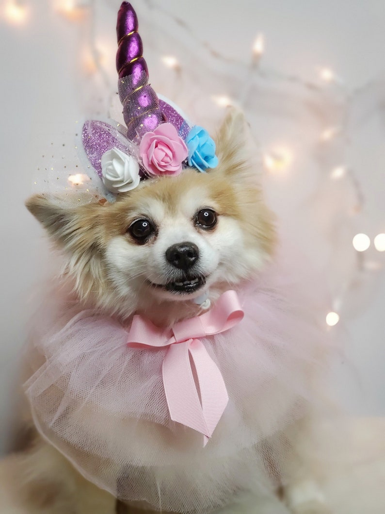 May include: A small white dog wearing a pink tulle tutu and a unicorn headband with purple, pink, and blue flowers. The headband has a sparkly purple horn.