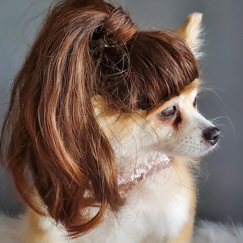 Blond Color Pet Wig With Ponytails for Dog or Cat - Etsy
