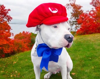 Super Mario Pet Hat: Regulowany kostium dla psa lub kota