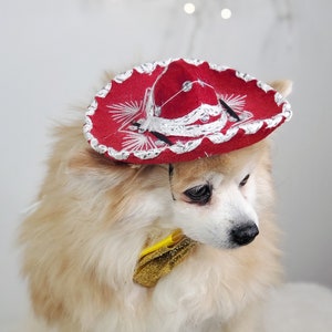 Set listing Cute sombrero hat  and  bow tie for dog or cat