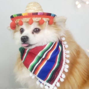 Set sombrero hat and bandanna scarf for dog or cat/ Halloween pet costume/ style # 3