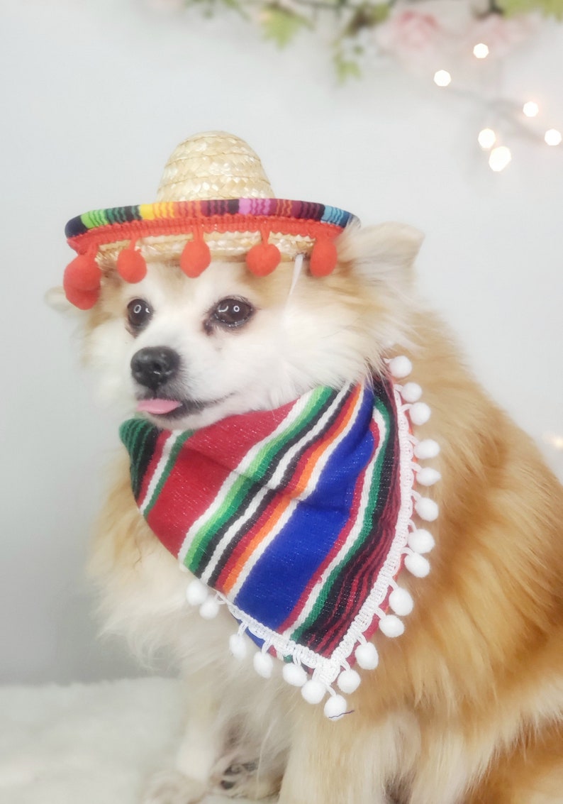 Set sombrero hat and bandanna scarf for dog or cat/ Halloween pet costume/ style # 3
