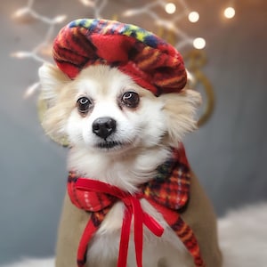 Set 2 pièces Béret et Cape housse pour chien chat ou petit animal / Costume/