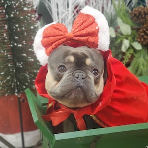 Christmas headband for pets /   Dog costume/Christmas petcostume/