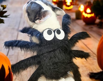 Spider hondenkostuum | Halloween-huisdierkostuum