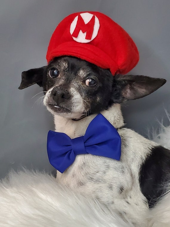 Mario dog sale costume
