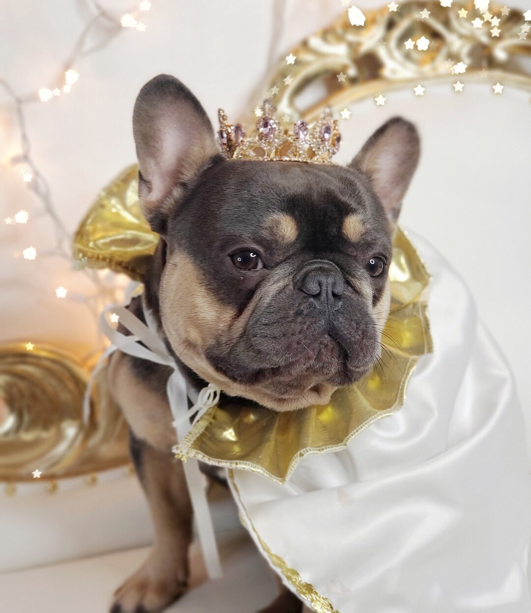 Gold Color Crown for Dog or Cat /princess Dog Crown / Crown for Dog ...