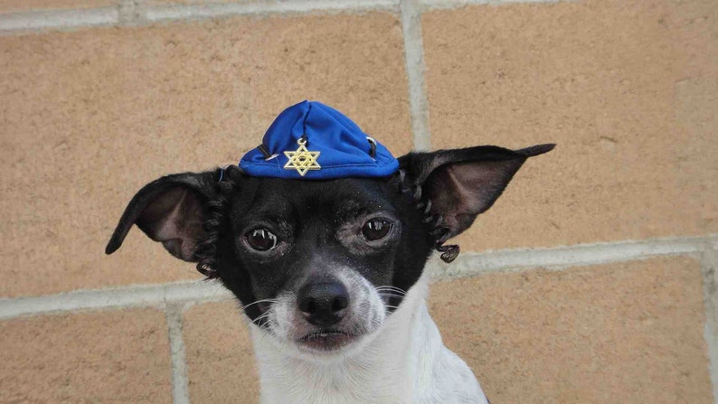Hanukkah hat for dog or cat /Hanukkah gift /Dog costume / image 4