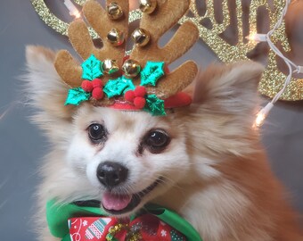 Reindeer ears Santa hat  for dog or cat for Christmas