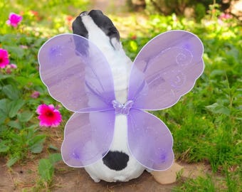 Dog costume Butterfly wings for pet / Halloween costume/Dog costume/Dogs costume /
