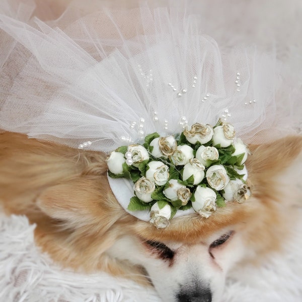 Veil for pet/ Cute bridal  veil  with white flowers for dog and cat