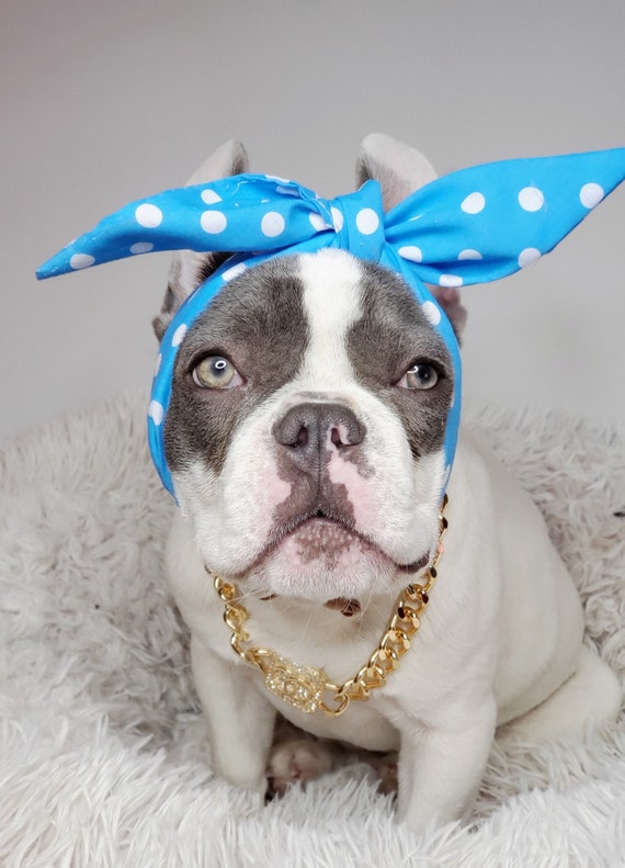 Dog headband hotsell for dogs