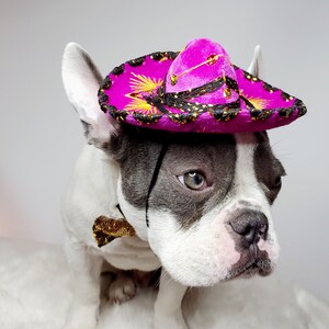 Set listing Cute sombrero hot pink color hat  and  bow tie for dog or cat