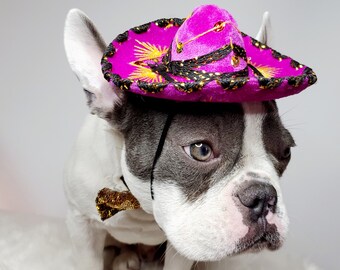 Pink Sombrero and Bow Tie Set: Pet Costume for Small/Medium Dogs and Cats