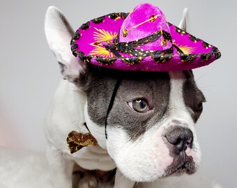 Set listado Cute sombrero de color rosa caliente y pajarita para perro o gato