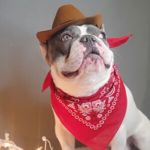 Cowboys hat for large dog /Dog costume /Frenchies cowboy hat / image 6