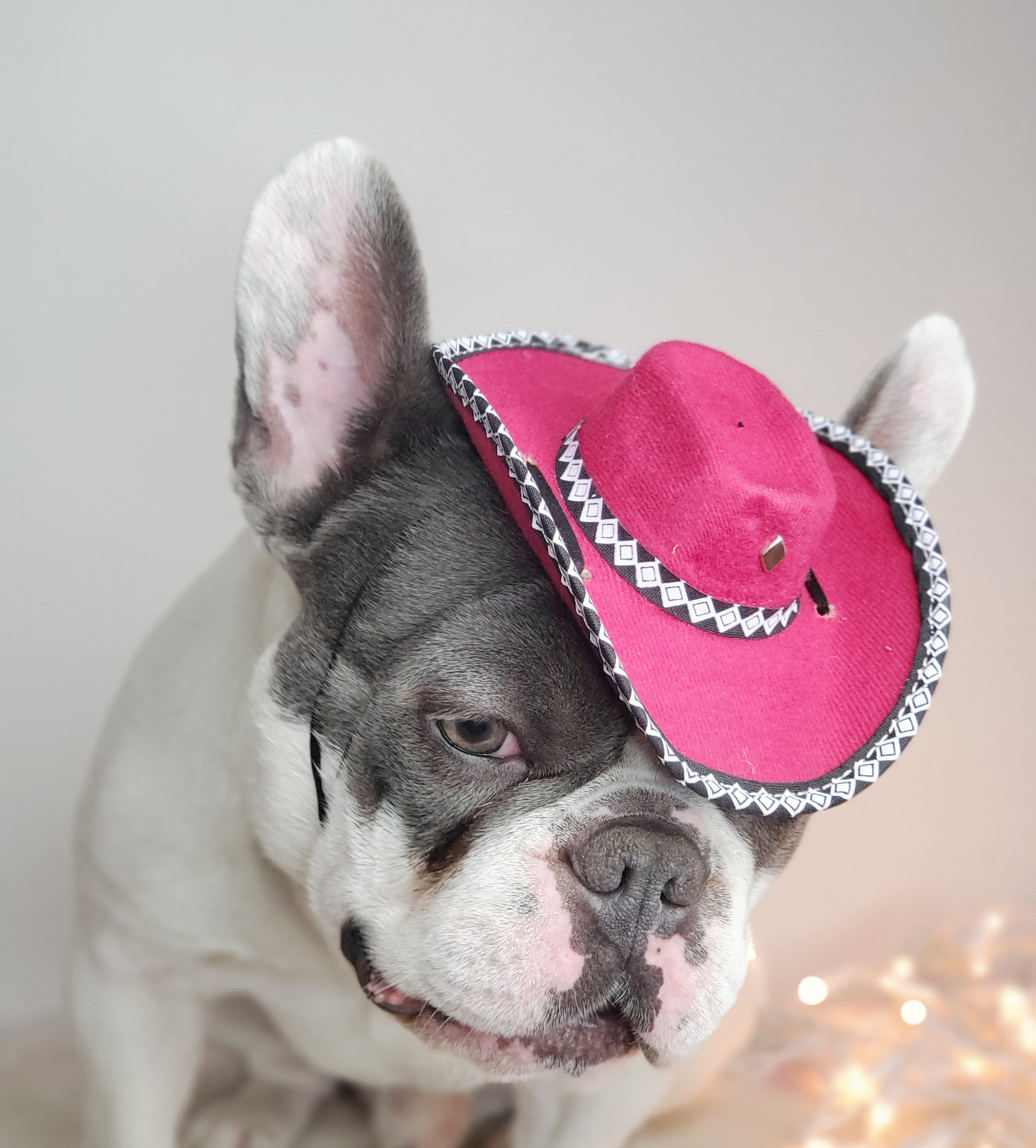 Sombrero de vaqueros / para mascota / de - Etsy España