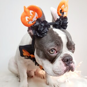 Beautiful headband and bow tie /Halloween costume/Dog costume / image 2