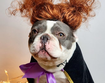 Winifred Sanderson  Cute pet   wig  for large dog