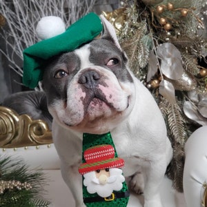 Beret  hat green  color  with neck tie for dog or cat /Hat for dogs/Beret for dogs /