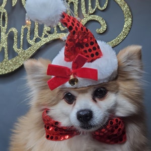 Set bow and hat Christmas  santa  hat for dog or cat/ Holliday dog gift /