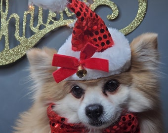 Set bow and hat Christmas  santa  hat for dog or cat/ Holliday dog gift /