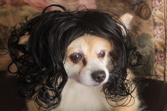 black dog wig