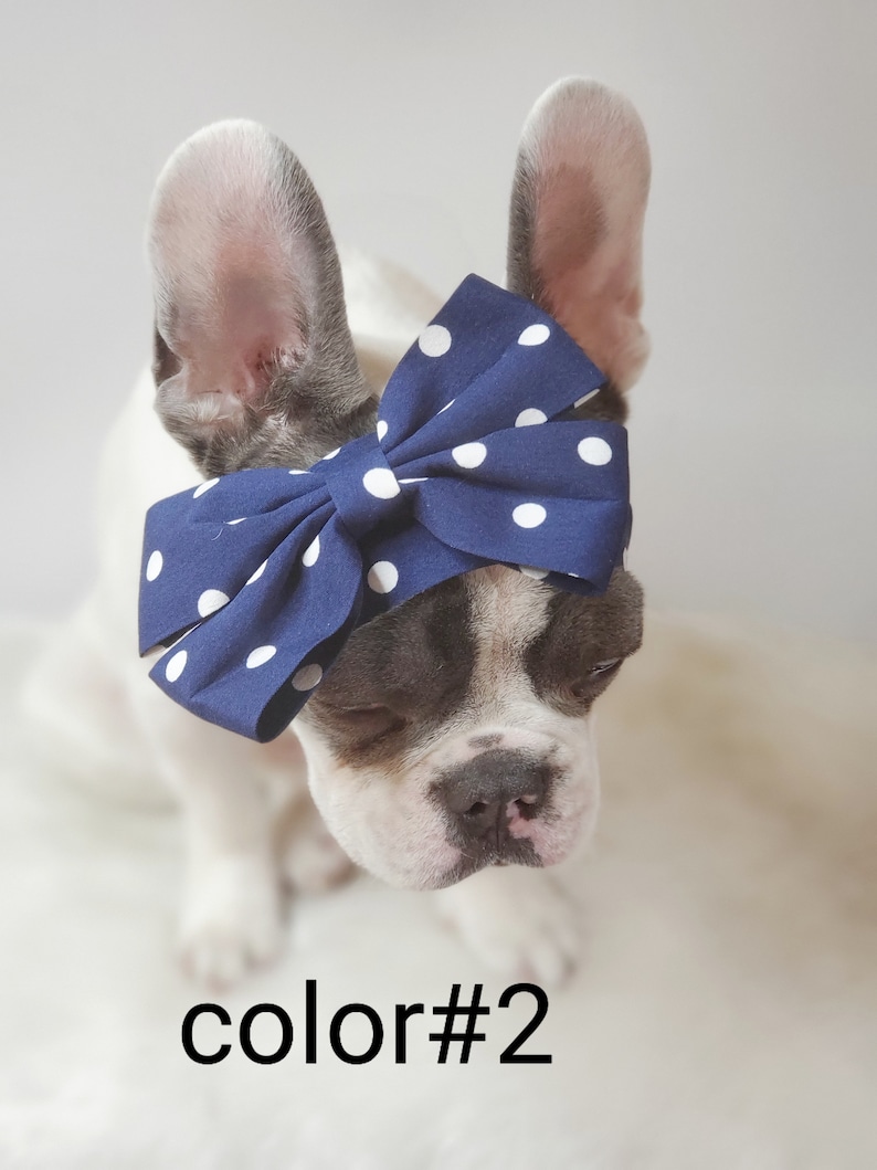 Headband for Dog or Cat /headband for Dogs/pet Gift/ Etsy