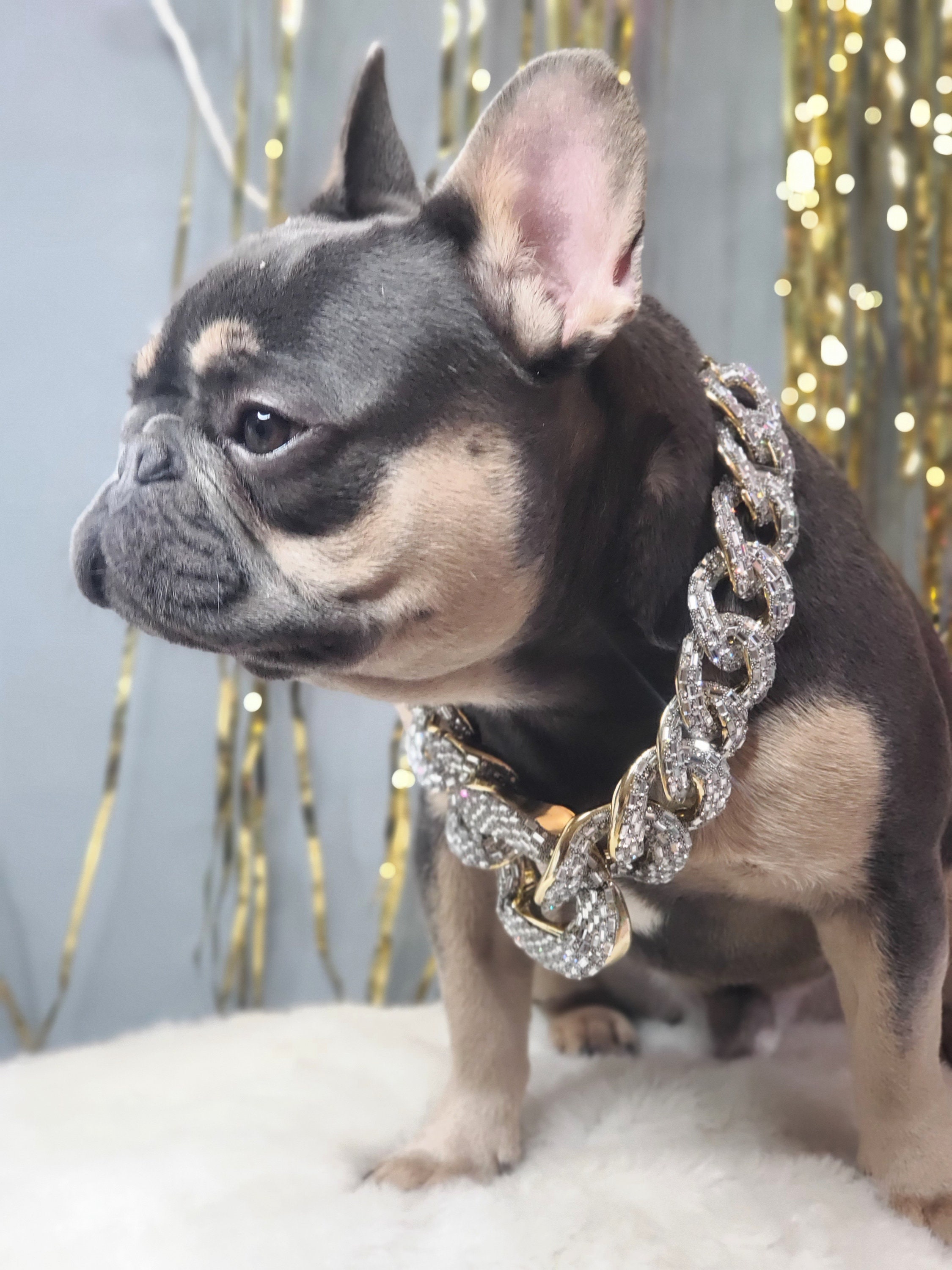 Luxury Cat Gold Chain Collar Elegant Rhinestone Buckle Xmas Dog Puppy  Necklace 