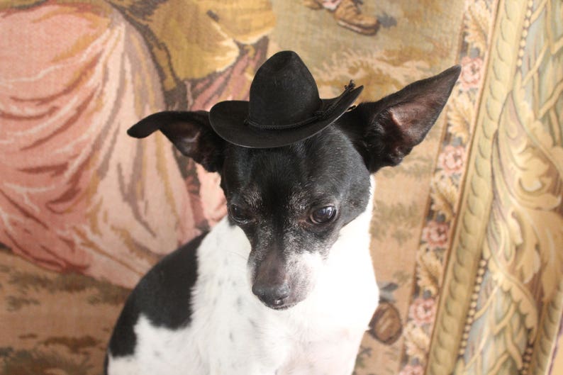 Cowboy hat for dog or cat black color /Small animals hat/Halloween dog hat /Cowboy dogs hat/ image 2